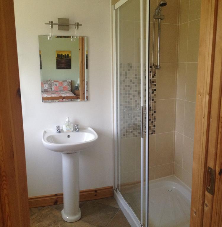 Amber B&B Ballyfarnon Bilik gambar